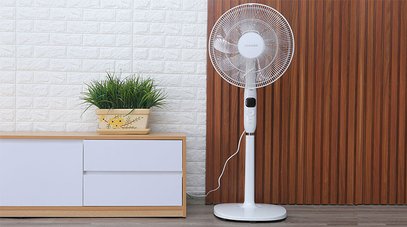 5 lý do nên mua quạt cây Toshiba F-LSD10(W)VN