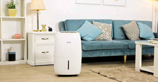 Máy hút ẩm FujiE - Lựa chọn lý tưởng cho các gia đình Việt