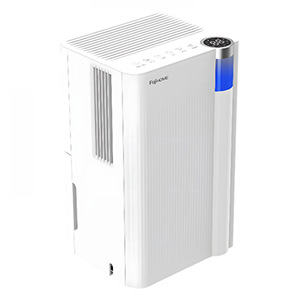 may-hut-am-fujihome-dh10new-10lit-ngay