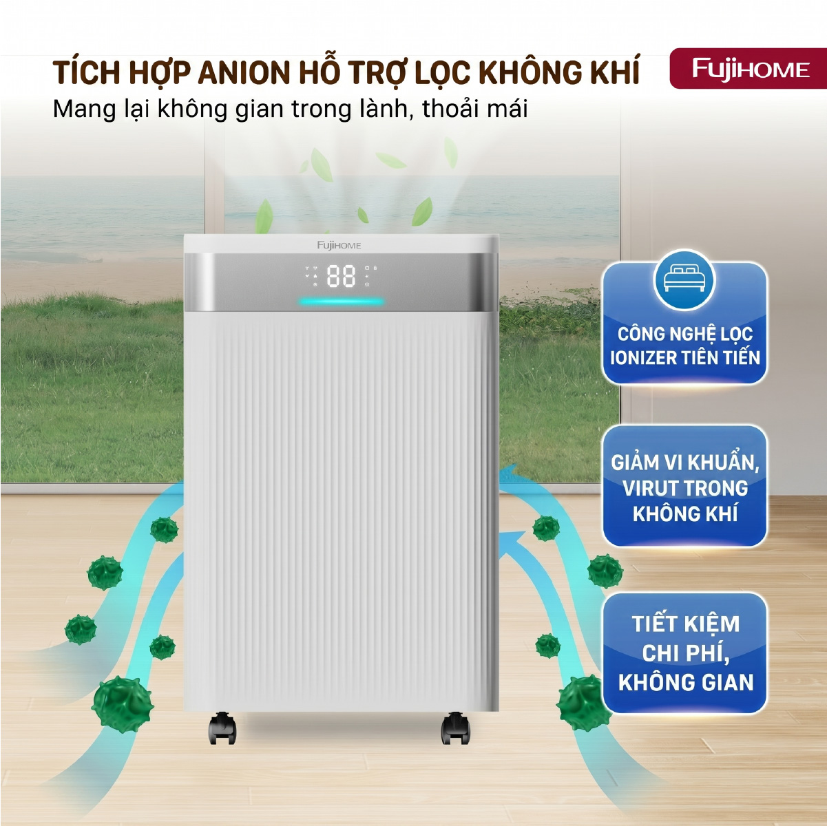 8.7-dh30nw-anion.jpg