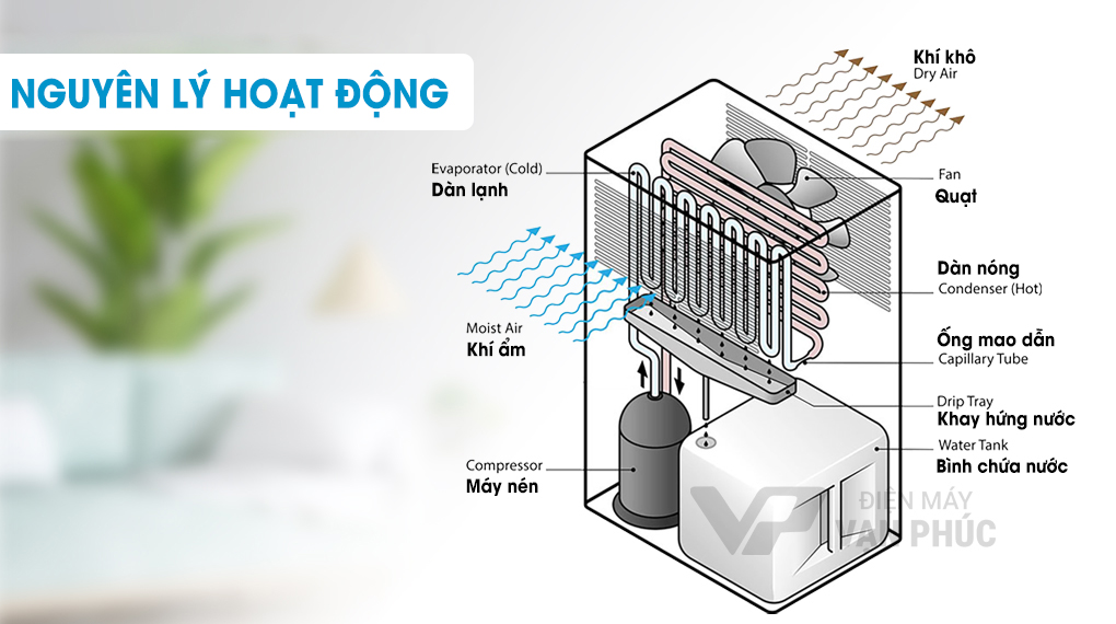may-hut-am-panasonic-f-yct14v-01.jpg