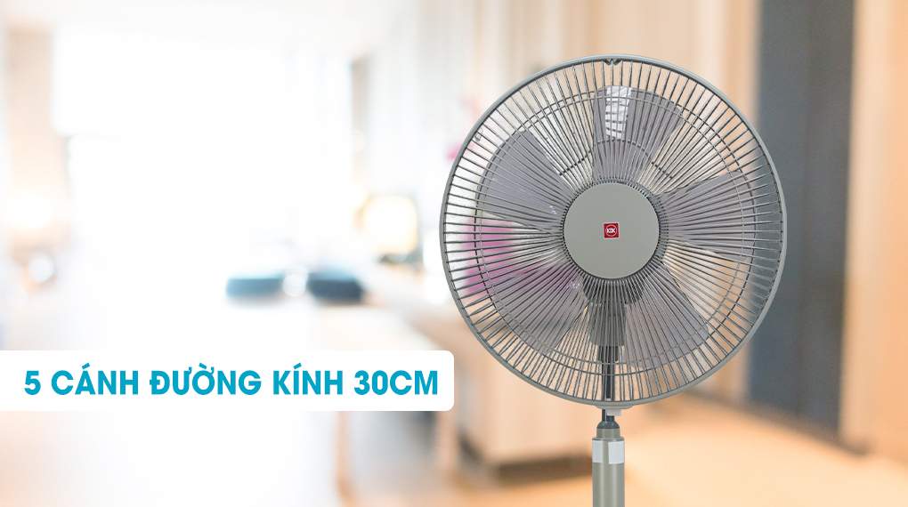 quat-lung-kdk-n30nh-gd-02.jpg