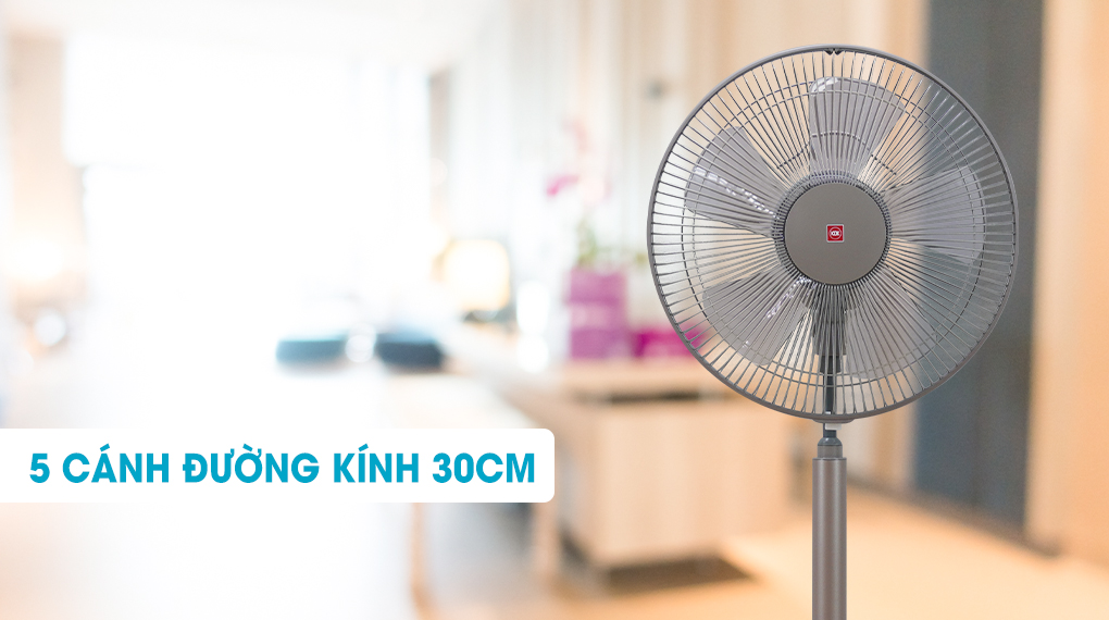 quat-lung-kdk-n30nh-br-02.jpg