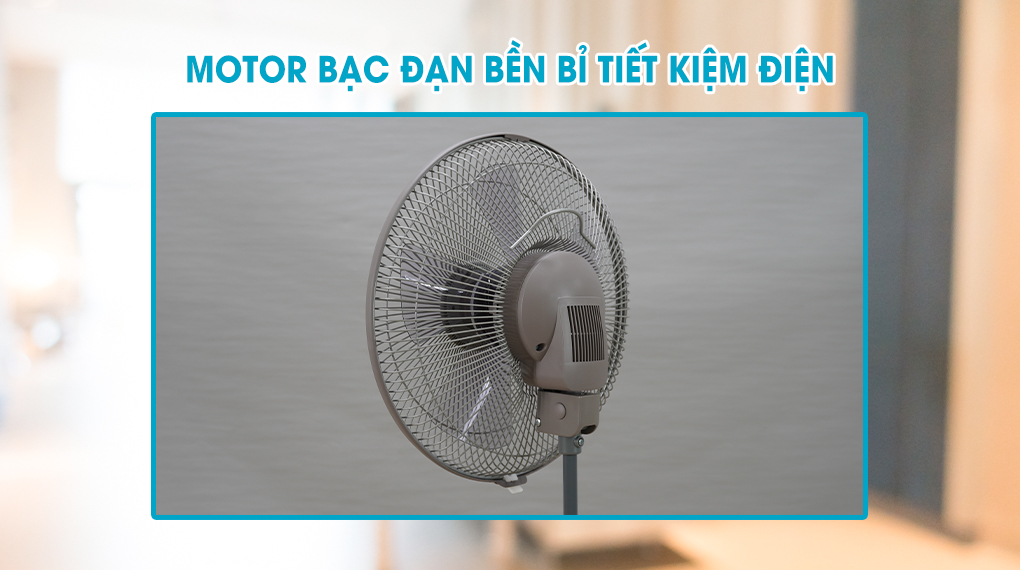 quat-lung-kdk-n30nh-br-06.jpg