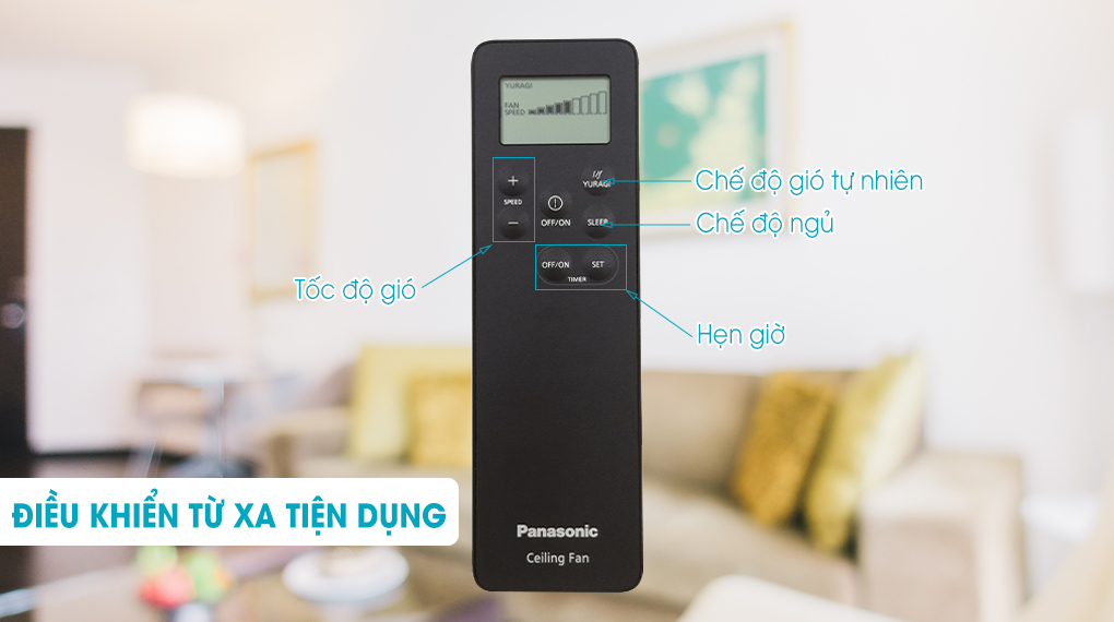 quat-tran-panasonic-f60gds-bs-04.jpg