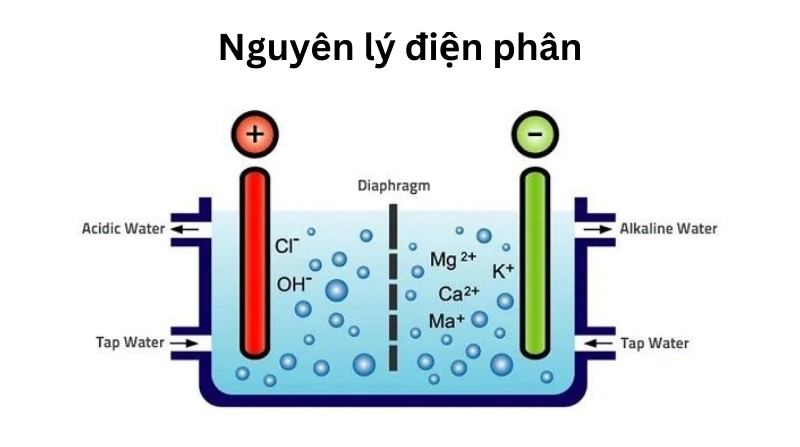 may-loc-nuoc-ion-kiem-co-tot-khong-3.jpg